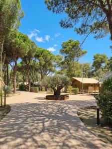 a park with a tree in the middle of a road at wecamp L'Escala Punta Milà in L'Escala