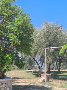 a bench in a park with two trees at Relais Soleil in Vico Equense