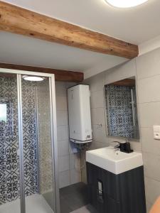 a bathroom with a sink and a shower at Statek u Juzů in Dolní Újezd +46 photos