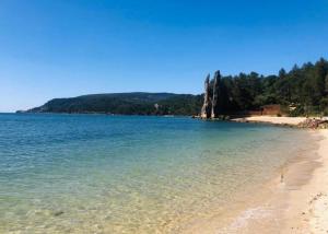 a beach with blue water and trees in the background at Bela House, By Home Match in Setúbal
