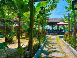 a garden with many plants and a pathway at Twin Double Room in Phú Ngọc (1)