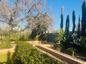a garden with trees and bushes and a fence at Sisi villa in Essaouira