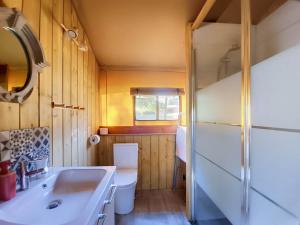 a bathroom with a sink and a toilet at Lodge La Belle Vie in Vigeois +5 photos