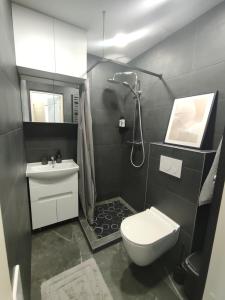 a bathroom with a toilet and a sink and a shower at UrbanHome1 in Rokiškis