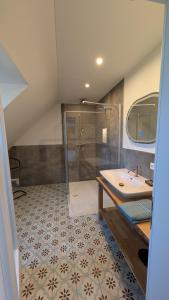 a bathroom with a shower and a sink at Das Fichtelgut in Wunsiedel +34 photos
