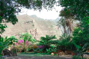 a garden with a mountain in the background at Eco Lodge ZEN GARDEN in Paul