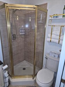a bathroom with a shower with a toilet at Charming Condo - Pool, Minutes to Beach in Pompano Beach +12 photos
