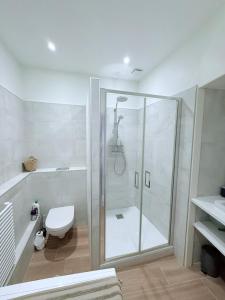 a bathroom with a shower and a toilet at L'Ecrin de la Fresque in Beaune