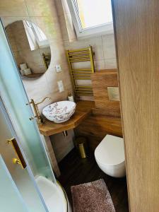 a small bathroom with a sink and a toilet at Pienińska Róża in Szczawnica
