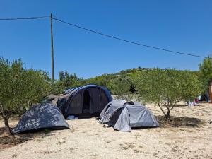 a group of tents in a field with trees at Camp Oblica - parcela - empty plot in Pirovac +4 photos