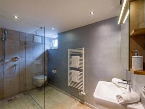 a bathroom with a shower and a toilet and a sink at Studio mit Lounge in Kirchberg in Tirol