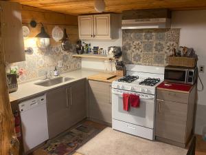 a small kitchen with a stove and a sink at The Crestone Hideaway in Crestone