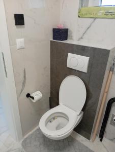 a small bathroom with a toilet in a stall at Studio apartman Topolovec in Krapina +7 photos
