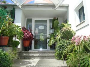 a front door of a house with potted plants at Solar S.Bento in Santo Tirso