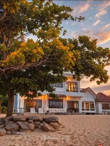 a large white house with a tree in front of it at The Boutique Khanom in Khanom +48 photos