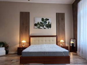 a bedroom with a bed and two lamps on either side at Edina Apartman in Sátoraljaújhely