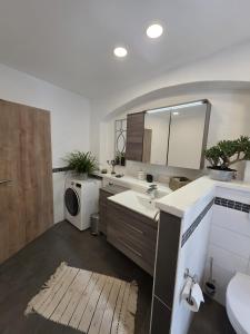 a bathroom with a sink and a washing machine at Rosenzauber Seeromantik "Kramer" in Weißenstadt +30 photos