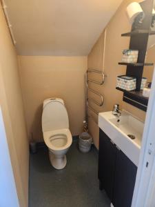 a small bathroom with a toilet and a sink at Sommarlägenhet i Vadstena in Vadstena +24 photos