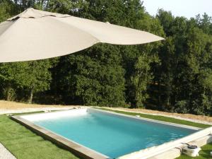 an umbrella over a blue swimming pool with grass at Villa Boulmia in Burlats