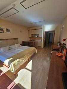 a bedroom with a large bed and a kitchen at Pokojíček 512 in Lázně Luhačovice