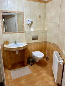 a bathroom with a sink and a toilet and a mirror at Detlafówka Kaszubski Resort in Dębki +59 photos