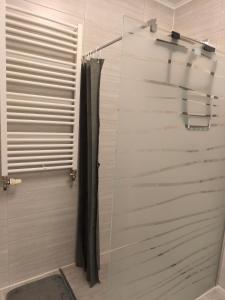 a shower with a glass door in a bathroom at Marina in Bleckede