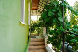 a house with stairs leading to a room with plants at Casa Verde in Vaţa de Jos