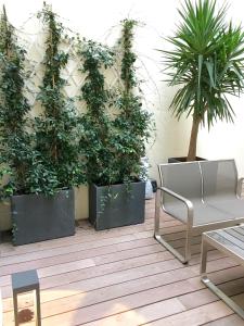 a room with three potted plants on a wall at Appartements Urban et Pure in Cannes