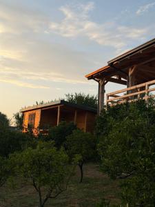a house in a field with trees in front of it at Bukuria e Fjerinës in Ulcinj