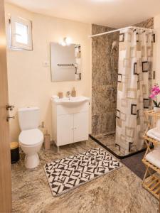 a bathroom with a toilet and a sink and a shower at Casa AIDA in Peşteana +18 photos