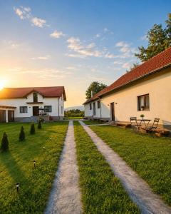 a path leading to a house and a building at Casa AIDA in Peşteana