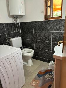 a bathroom with a toilet and a sink at Planinska Idila in Vareš