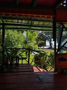 a wooden porch with a view of a field at Hostal Búho Amazonas tours in Leticia