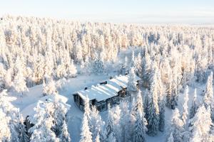 an aerial view of a house in a snow covered forest at Holiday Home Ruka Etelärinne 10 B in Ruka