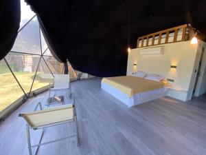 Легло или легла в стая в Therapy igloo