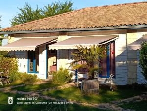 a small white house with a palm tree in front of it at La Cadournaise in Saint-Seurin-de-Cadourne