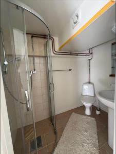 a bathroom with a shower and a toilet and a sink at The Old Garages in Uddeholm