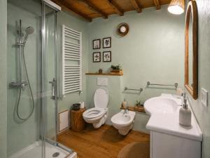 a bathroom with a toilet and a sink and a shower at Ca' Bastiàn in Sacco