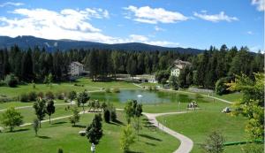 a park with a lake in the middle of a field at Altipiani Trentini in Lavarone