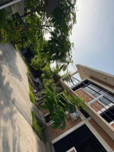 an overhead view of a building with plants on it at Villas La Vista in Tuxpan de Rodríguez Cano