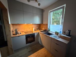 a small kitchen with a sink and a window at Apartament Żurawie in Jastrowie