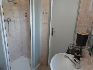 a bathroom with a shower and a sink and a toilet at Chata Rumunka in Jaroměř