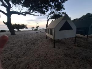 a tent on a sandy beach with a tree at Kuma Surf Camp in Arugam Bay +36 photos
