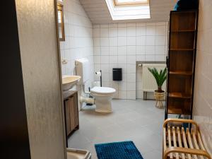 a bathroom with a toilet and a sink at Landhaus Kummerfrei in Hellenthal +32 photos