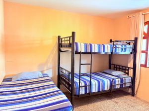 a bedroom with two bunk beds in a room at Blue Moon Hostel in Antigua Guatemala