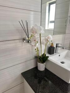 a bathroom with a sink and a mirror and flowers at Nova Apartments- MbabaneCBD in Mbabane