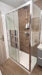 a shower with a glass door in a bathroom at Pokoje na Wierchu in Biały Dunajec +60 photos
