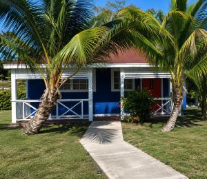 a blue house with palm trees in front of it at Blue Serenity in Georgetown