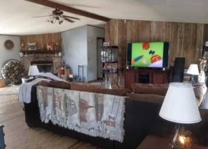 a living room with a couch and a television at The Moseley-Smith Plantation SHARED LIVING Queen Bedroom in Aiken +20 photos