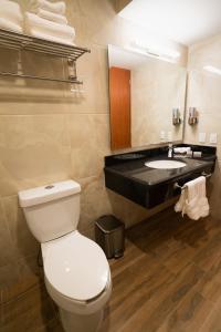 a bathroom with a toilet and a sink at Kali Doña Tere in Acámbaro
